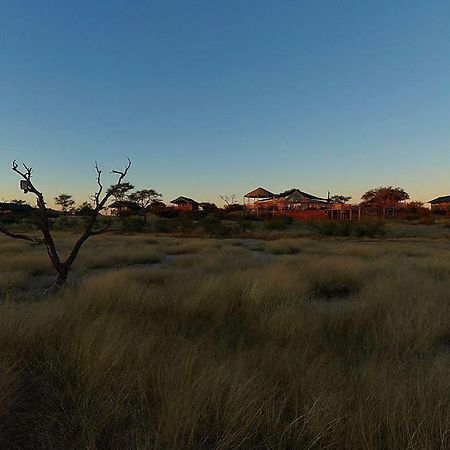 Suricate Tented Lodge Mariental Bagian luar foto