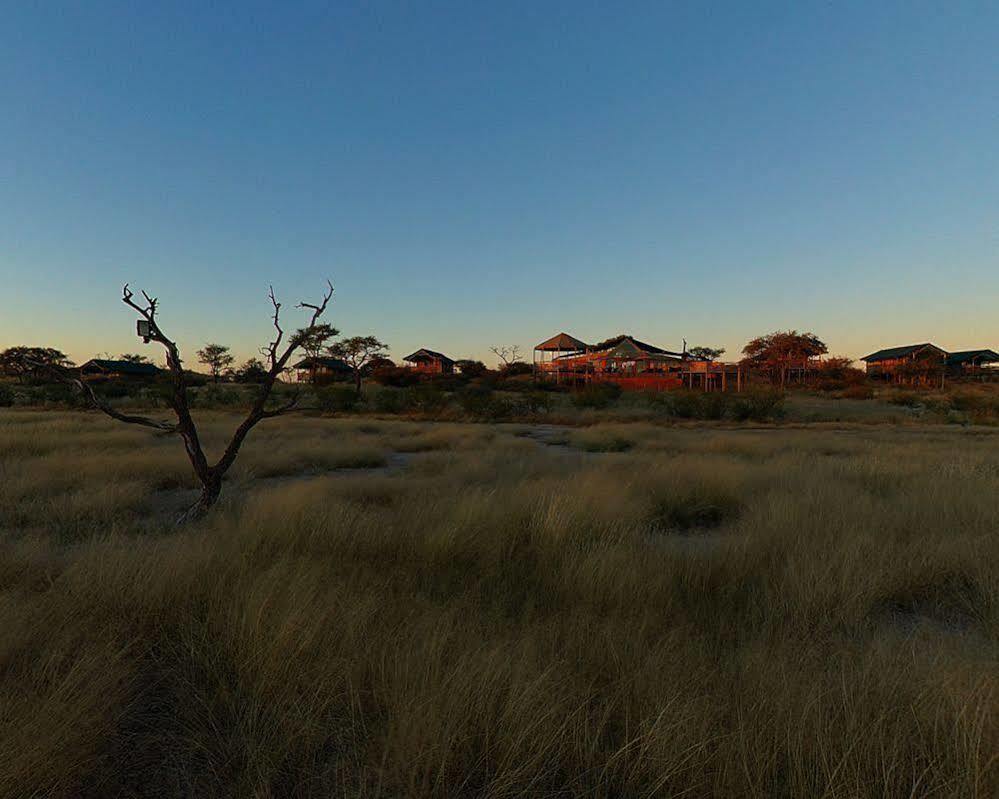 Suricate Tented Lodge Mariental Bagian luar foto