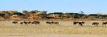 Suricate Tented Lodge Mariental Bagian luar foto